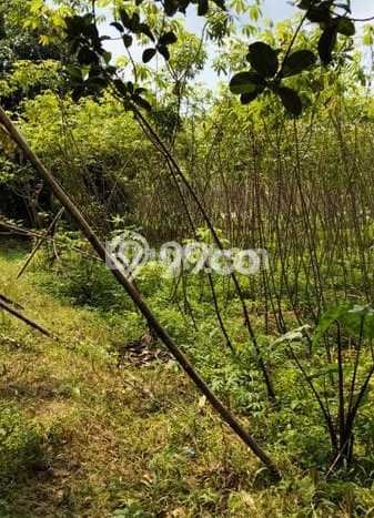 Tanah Dijual di Depok Seluas 300m2 Strategis Tanah Dijual di Depok Seluas 300m2 Strategis