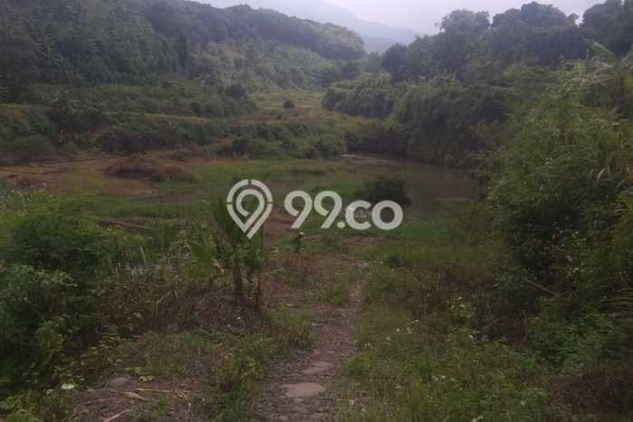 Kavling Tanah di Gondang Dijual Luas 50000m2 Legalitas SHM Kavling Tanah di Gondang Dijual Luas 50000m2 Legalitas SHM