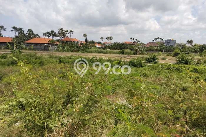 Kavling Tanah untuk Dijual di Petitenget, Badung, Luas 3950m2 Kavling Tanah untuk Dijual di Petitenget, Badung, Luas 3950m2