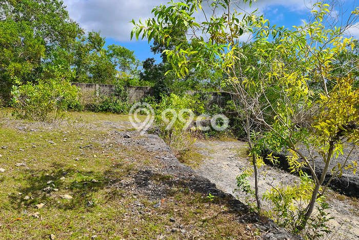 Tanah Dijual di Badung Seluas 20300m2 Strategis Tanah Dijual di Badung Seluas 20300m2 Strategis