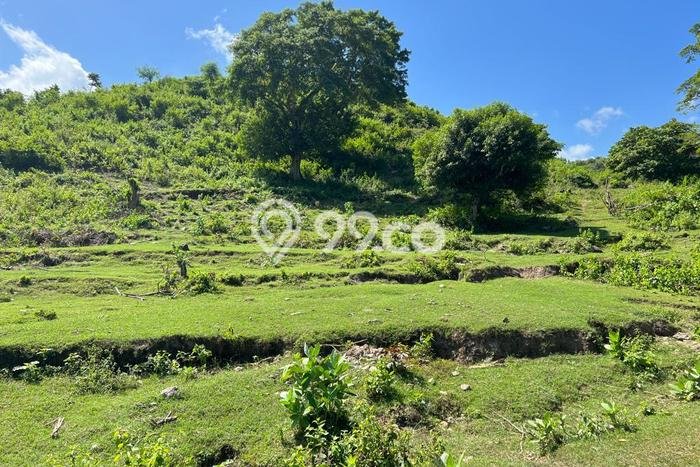 Tanah untuk Dijual di Sekotong Lombok Barat Luas 16000m2 Tanah untuk Dijual di Sekotong Lombok Barat Luas 16000m2