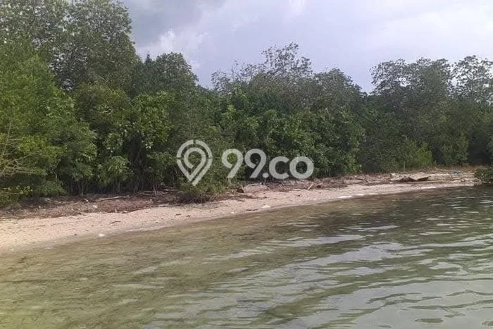 Kavling Tanah untuk Dijual di Labuan Bajo, Manggarai Barat, Luas 50000m2 Kavling Tanah untuk Dijual di Labuan Bajo, Manggarai Barat, Luas 50000m2