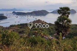 Tanah Dijual Area Strategis di Labuan Bajo Manggarai Barat 5500m2 Tanah Dijual Area Strategis di Labuan Bajo Manggarai Barat 5500m2