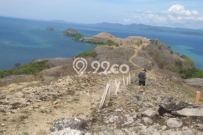 Dijual Tanah Lokasi Labuan Bajo, Manggarai Barat Seluas 20000m2 Dijual Tanah Lokasi Labuan Bajo, Manggarai Barat Seluas 20000m2
