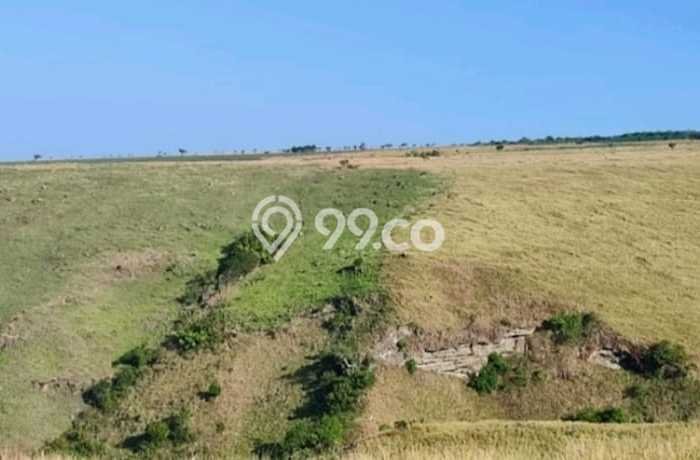 Tanah Dijual di Manggarai Barat Seluas 330000m2 Strategis Tanah Dijual di Manggarai Barat Seluas 330000m2 Strategis