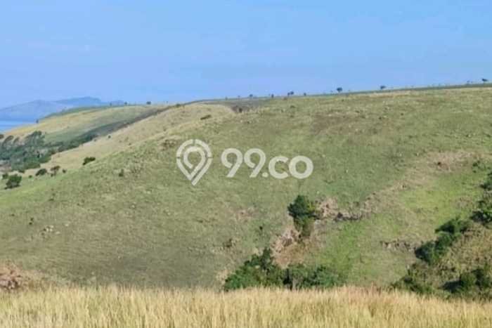 Tanah Dijual di Manggarai Barat Seluas 330000m2 Strategis Tanah Dijual di Manggarai Barat Seluas 330000m2 Strategis
