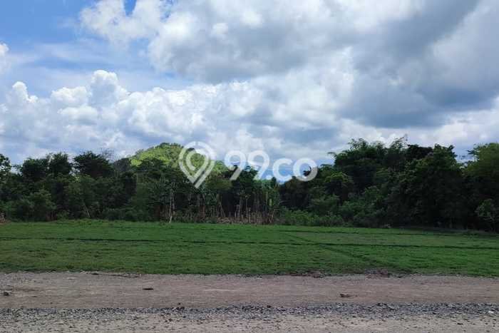 Tanah Siap Bangun Dijual di Manggarai Barat Punya Luas 1560m2 Tanah Siap Bangun Dijual di Manggarai Barat Punya Luas 1560m2