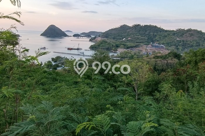 Tanah Dijual di Manggarai Barat Seluas 2500m2 Strategis Tanah Dijual di Manggarai Barat Seluas 2500m2 Strategis