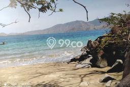 Tanah Kavling Dijual di Labuan Bajo, Manggarai Barat dengan Luas Tanah 310000m2 Tanah Kavling Dijual di Labuan Bajo, Manggarai Barat dengan Luas Tanah 310000m2
