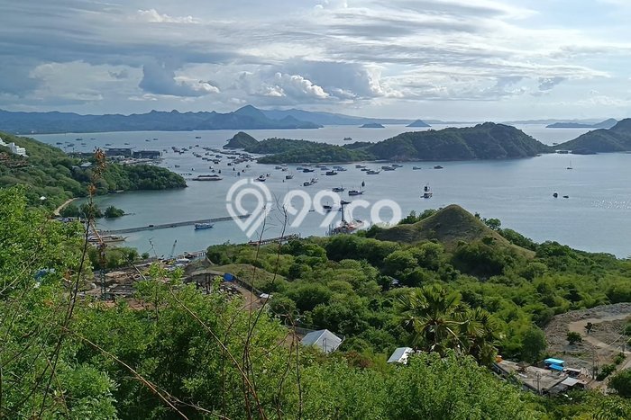 Tanah Siap Bangun Dijual di Manggarai Barat Punya Luas 2630m2 Tanah Siap Bangun Dijual di Manggarai Barat Punya Luas 2630m2