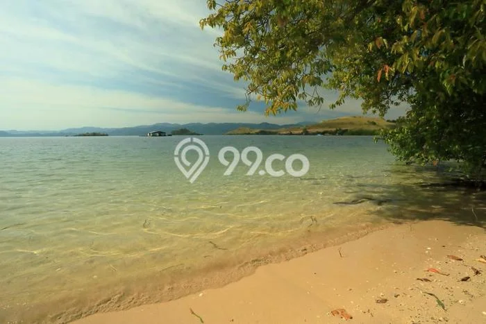 Kavling Tanah untuk Dijual di Labuan Bajo, Manggarai Barat, Luas 9187m2 Kavling Tanah untuk Dijual di Labuan Bajo, Manggarai Barat, Luas 9187m2