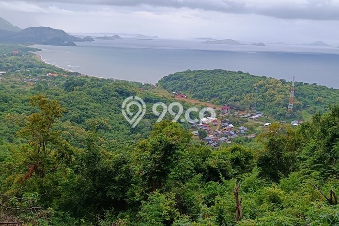 Kavling Tanah untuk Dijual di Labuan Bajo, Manggarai Barat, Luas 3800m2 Kavling Tanah untuk Dijual di Labuan Bajo, Manggarai Barat, Luas 3800m2