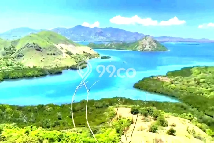 Tanah Siap Bangun Dijual di Manggarai Barat Punya Luas 35000m2 Tanah Siap Bangun Dijual di Manggarai Barat Punya Luas 35000m2