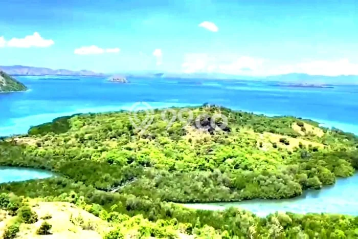 Tanah Siap Bangun Dijual di Manggarai Barat Punya Luas 35000m2 Tanah Siap Bangun Dijual di Manggarai Barat Punya Luas 35000m2