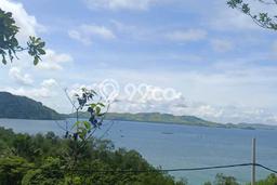 Kavling Tanah untuk Dijual di Labuan Bajo, Manggarai Barat, Luas 3740m2 Kavling Tanah untuk Dijual di Labuan Bajo, Manggarai Barat, Luas 3740m2
