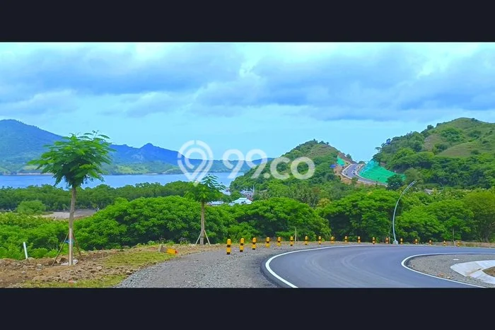 Tanah Dijual Area Strategis di Labuan Bajo Manggarai Barat 16000m2 Tanah Dijual Area Strategis di Labuan Bajo Manggarai Barat 16000m2