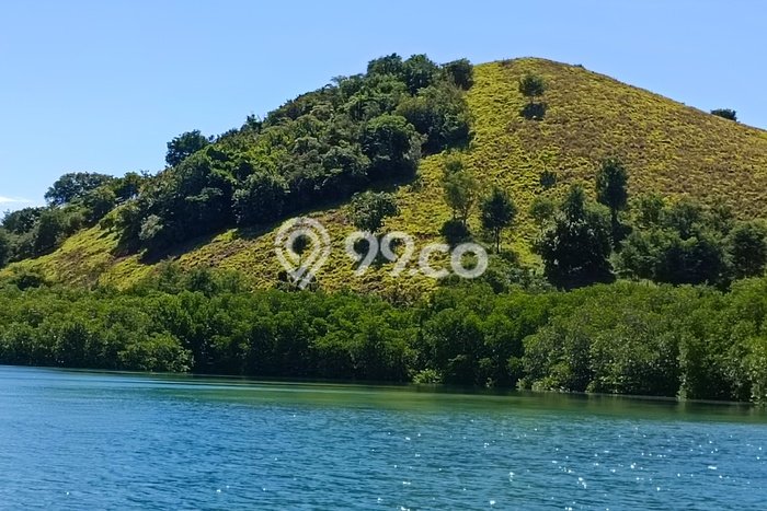 Tanah Siap Bangun Dijual di Manggarai Barat Punya Luas 18000m2 Tanah Siap Bangun Dijual di Manggarai Barat Punya Luas 18000m2