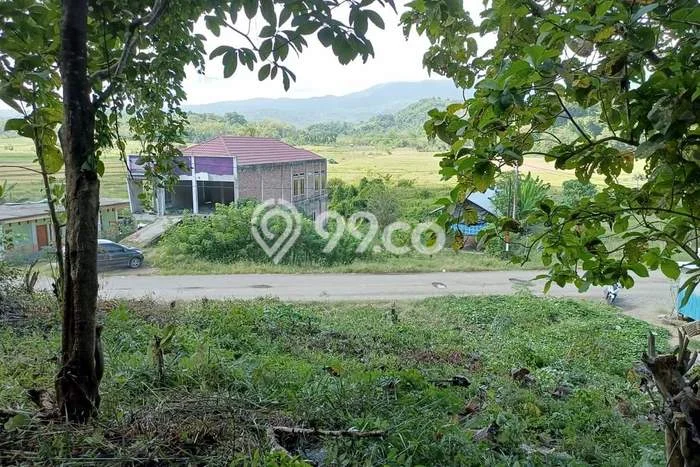 Kavling Tanah untuk Dijual di Labuan Bajo, Manggarai Barat, Luas 1450m2 Kavling Tanah untuk Dijual di Labuan Bajo, Manggarai Barat, Luas 1450m2