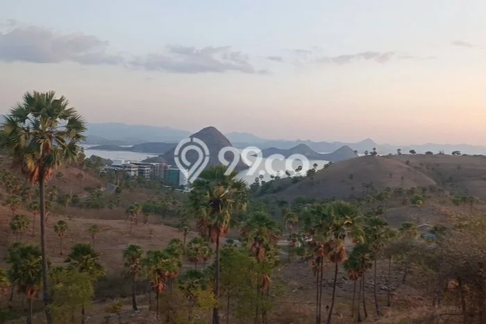 Kavling Tanah untuk Dijual di Labuan Bajo, Manggarai Barat, Luas 3650m2 Kavling Tanah untuk Dijual di Labuan Bajo, Manggarai Barat, Luas 3650m2