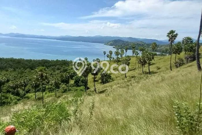 Dijual Tanah 20000m2 di Labuan Bajo, Manggarai Barat Dijual Tanah 20000m2 di Labuan Bajo, Manggarai Barat