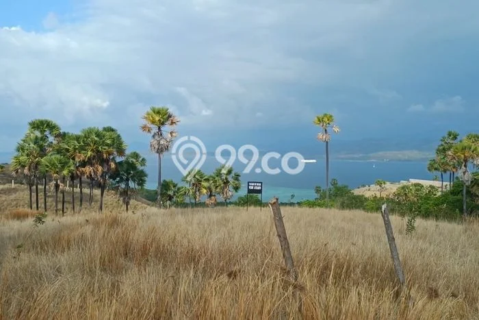 Tanah Dijual Area Strategis di Labuan Bajo Manggarai Barat 10000m2 Tanah Dijual Area Strategis di Labuan Bajo Manggarai Barat 10000m2