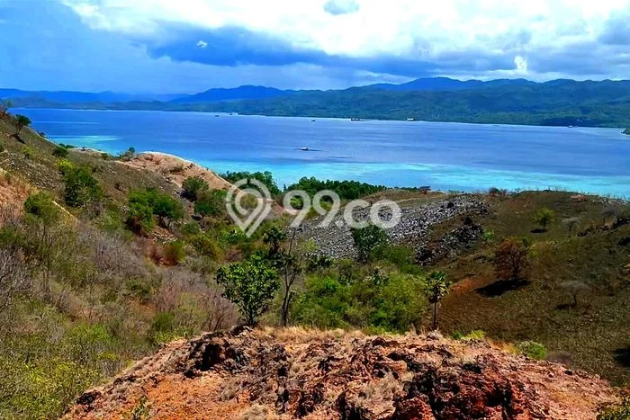 Tanah Kavling Dijual di Manggarai Barat dengan Spesifikasi 65000m2 Tanah Kavling Dijual di Manggarai Barat dengan Spesifikasi 65000m2