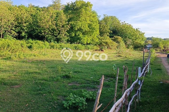 Tanah Dijual di Manggarai Barat Seluas 11410m2 Strategis Tanah Dijual di Manggarai Barat Seluas 11410m2 Strategis