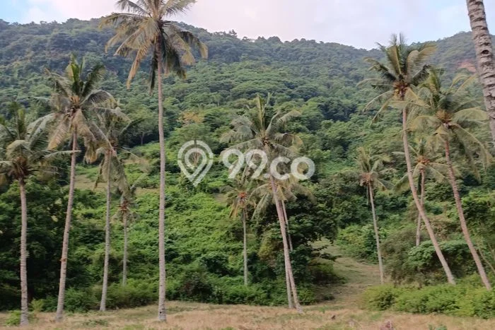 Kavling Tanah untuk Dijual di Senggigi, Lombok Barat, Luas 40000m2 Kavling Tanah untuk Dijual di Senggigi, Lombok Barat, Luas 40000m2
