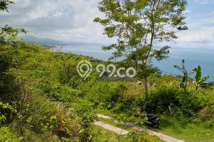 Lahan Dijual Lokasi Strategis di Lombok Barat dengan Luas 20000m2 Lahan Dijual Lokasi Strategis di Lombok Barat dengan Luas 20000m2