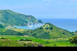 Tanah Komersial Dijual di Praya Barat Daya Lombok Tengah 10058m2 Tanah Komersial Dijual di Praya Barat Daya Lombok Tengah 10058m2