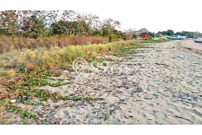Tanah Dijual Area Strategis di Labuan Bajo Manggarai Barat 6767m2 Tanah Dijual Area Strategis di Labuan Bajo Manggarai Barat 6767m2