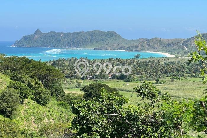 Tanah untuk Dijual di Sekotong Lombok Barat Luas 16000m2 Tanah untuk Dijual di Sekotong Lombok Barat Luas 16000m2