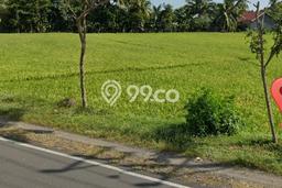 Tanah Komersial Dijual di Praya Barat Lombok Tengah 9730m2 Tanah Komersial Dijual di Praya Barat Lombok Tengah 9730m2