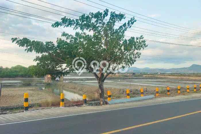Dijual Tanah di Woha Bima Luas 4364m2 SHM Dijual Tanah di Woha Bima Luas 4364m2 SHM