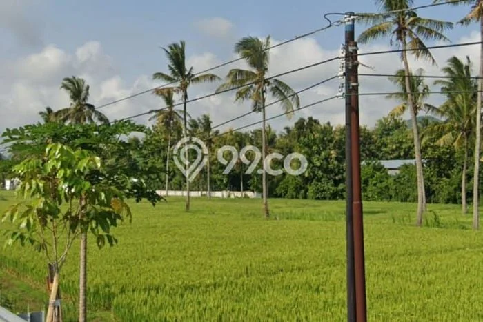 Tanah untuk Dijual Lokasi Kuripan, Lombok Barat Luas 100000m2 SHM Tanah untuk Dijual Lokasi Kuripan, Lombok Barat Luas 100000m2 SHM