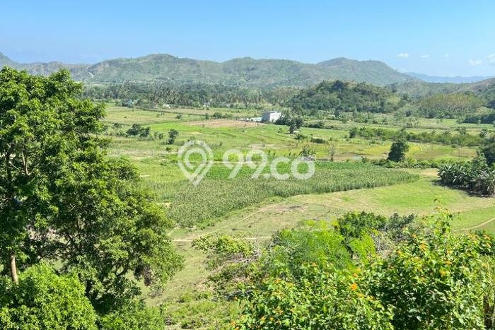 Tanah untuk Dijual di Sekotong Lombok Barat Luas 16000m2 Tanah untuk Dijual di Sekotong Lombok Barat Luas 16000m2