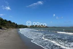 Lahan untuk Dijual Lokasi Praya Barat, Lombok Tengah Luas 250000m2 SHM Lahan untuk Dijual Lokasi Praya Barat, Lombok Tengah Luas 250000m2 SHM