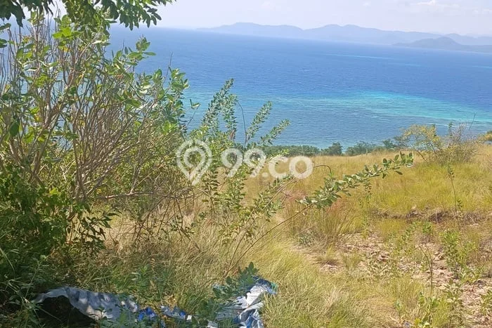 Dijual Tanah di Manggarai Barat, Luas 80000m2 SHM Dijual Tanah di Manggarai Barat, Luas 80000m2 SHM