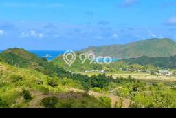 Tanah Kavling untuk Dijual di Praya Barat Lombok Tengah 150000m2 Tanah Kavling untuk Dijual di Praya Barat Lombok Tengah 150000m2