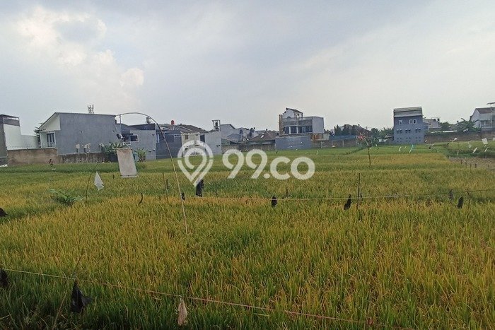 Tanah Dijual Lokasi Cimahi Utara, Cimahi Luas 12000m2 Legalitas Aman Tanah Dijual Lokasi Cimahi Utara, Cimahi Luas 12000m2 Legalitas Aman
