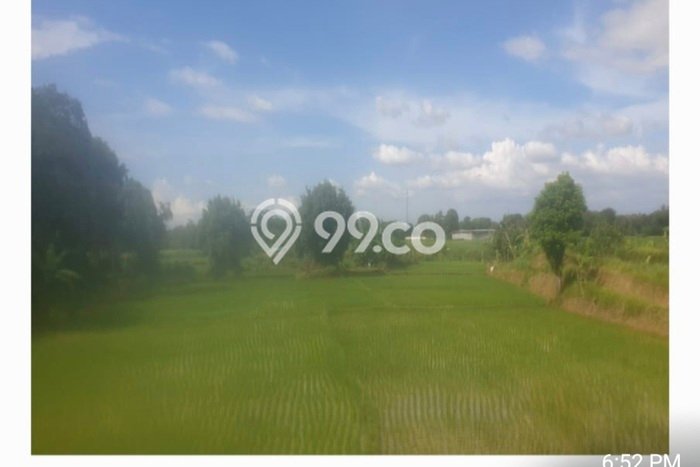Tanah Dijual Lokasi Panongan, Tangerang Luas 200000m2 Legalitas Aman Tanah Dijual Lokasi Panongan, Tangerang Luas 200000m2 Legalitas Aman
