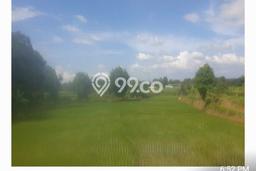 Lahan Kosong Dijual di Tangerang dengan Area 200000m2 Lahan Kosong Dijual di Tangerang dengan Area 200000m2
