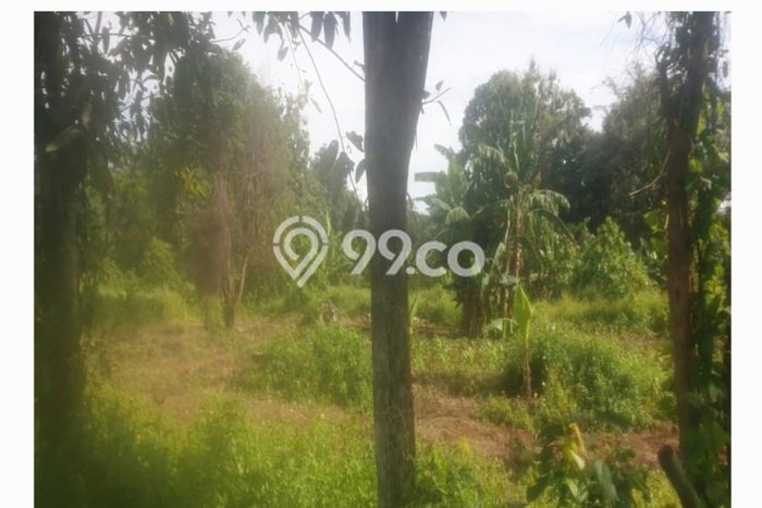 Tanah Dijual Lokasi Panongan, Tangerang Luas 200000m2 Legalitas Aman Tanah Dijual Lokasi Panongan, Tangerang Luas 200000m2 Legalitas Aman
