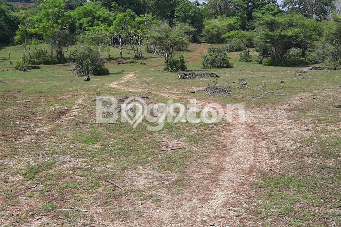 Tanah Dijual di Badung Seluas 800m2 Strategis Tanah Dijual di Badung Seluas 800m2 Strategis