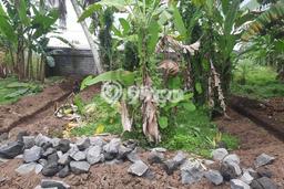 Lahan untuk Dijual Lokasi Blahbatuh, Gianyar Luas 225m2 SHM Lahan untuk Dijual Lokasi Blahbatuh, Gianyar Luas 225m2 SHM