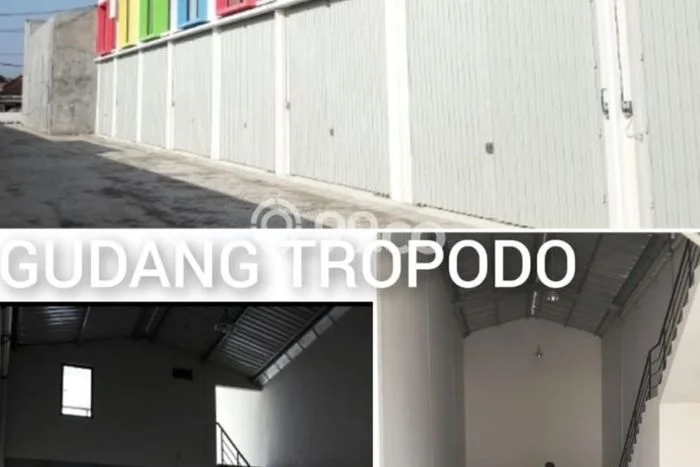 Disewakan Gudang Bisnis di Sidoarjo Sidoarjo Harga Sewa Menarik Bisa Nego Disewakan Gudang Bisnis di Sidoarjo Sidoarjo Harga Sewa Menarik Bisa Nego