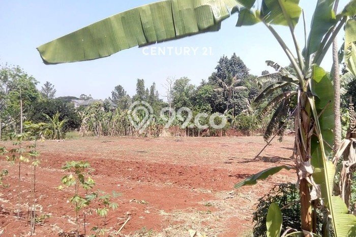 Kavling Tanah untuk Dijual di Bintaro, Tangerang Selatan, Luas 4300m2 Kavling Tanah untuk Dijual di Bintaro, Tangerang Selatan, Luas 4300m2