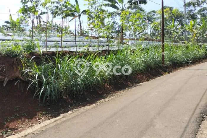 Tanah untuk Dijual di Sumedang Selatan Sumedang Luas 2660m2 Tanah untuk Dijual di Sumedang Selatan Sumedang Luas 2660m2