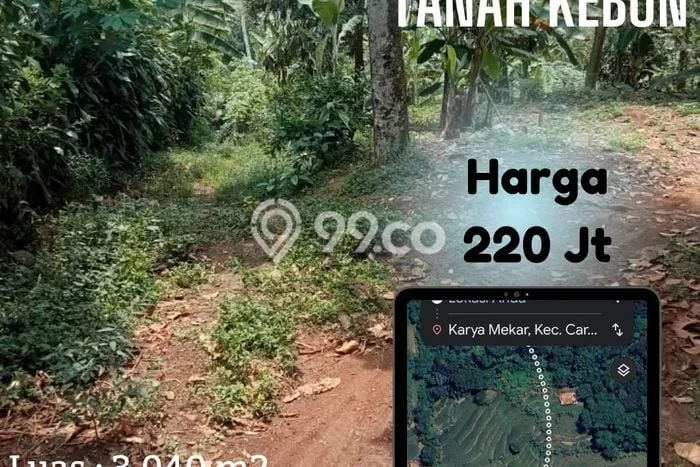 Kavling Tanah Dijual di Cariu Bogor Spesifikasi 3040m2 Kavling Tanah Dijual di Cariu Bogor Spesifikasi 3040m2