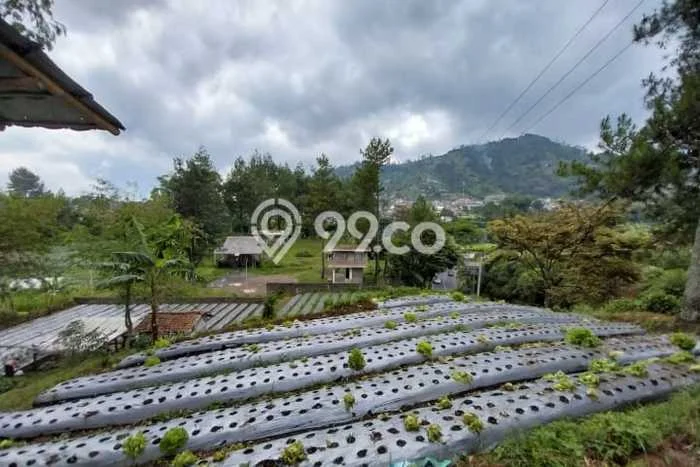 Tanah Dijual Lokasi Strategis di Bandung dengan Luas 4000m2 Tanah Dijual Lokasi Strategis di Bandung dengan Luas 4000m2